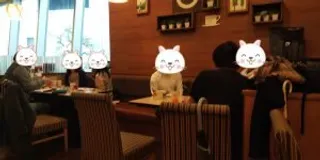 朝活英語 in 浦和